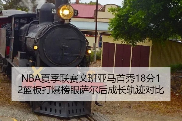 xia-ji-lian-sai-wen-ban-ya-ma-shou-xiu-fen-lan-ban-da-bao-bang-yan-sa-er-hou-cheng-zhang-gui-ji-dui-bi-3-745.jpg